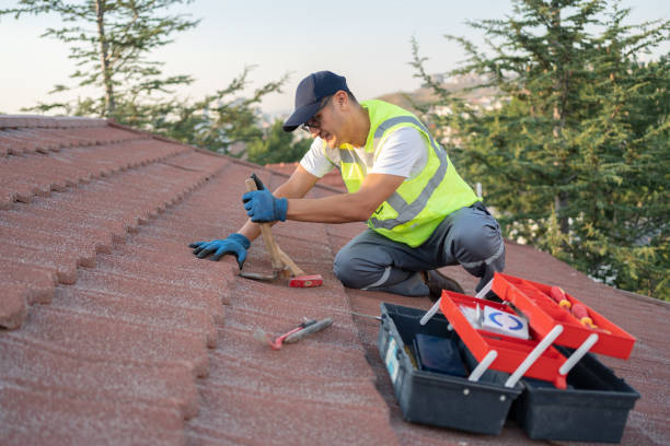 Quick and Trustworthy Emergency Roof Repair Services in Sheldon, IL